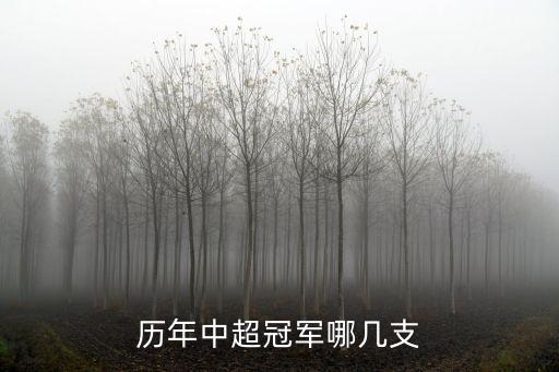 長春亞泰足球奪冠是