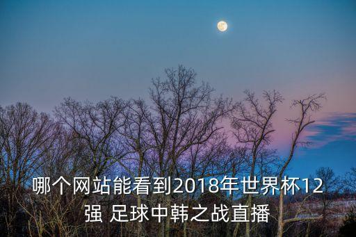 哪個網站能看到2018年世界杯12強 足球中韓之戰(zhàn)直播