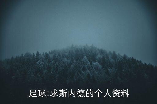  足球:求斯內(nèi)德的個人資料