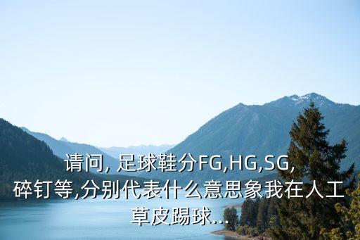 請(qǐng)問, 足球鞋分FG,HG,SG,碎釘?shù)?分別代表什么意思象我在人工草皮踢球...