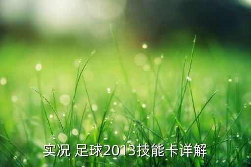 實況 足球2013技能卡詳解