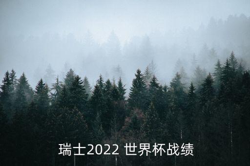  瑞士2022 世界杯戰(zhàn)績(jī)