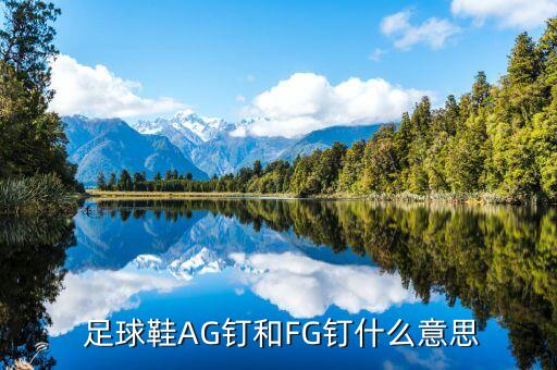  足球鞋AG釘和FG釘什么意思