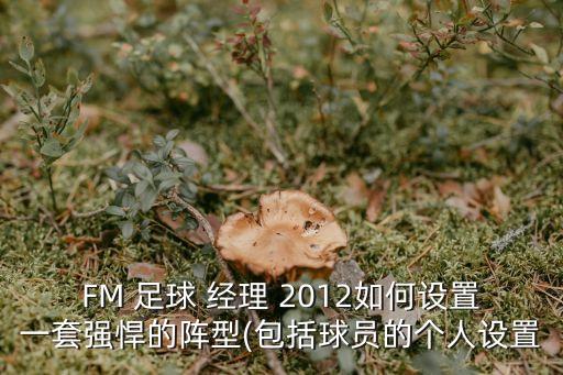 FM 足球 經(jīng)理 2012如何設(shè)置一套強悍的陣型(包括球員的個人設(shè)置