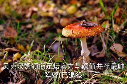 貝克漢姆領(lǐng)銜足壇實(shí)力與顏值并存最帥陣容(已退役