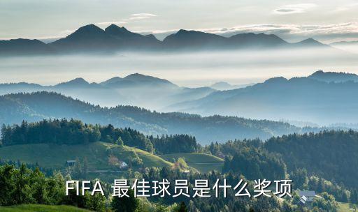 FIFA 最佳球員是什么獎(jiǎng)項(xiàng)