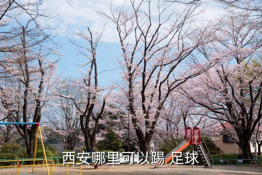 望京南湖公園足球場(chǎng)有室內(nèi)足球館