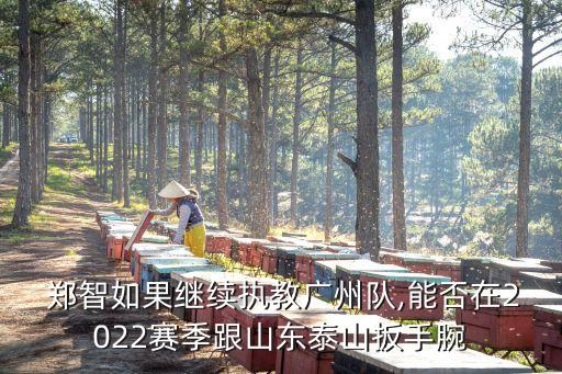  鄭智如果繼續(xù)執(zhí)教廣州隊(duì),能否在2022賽季跟山東泰山扳手腕