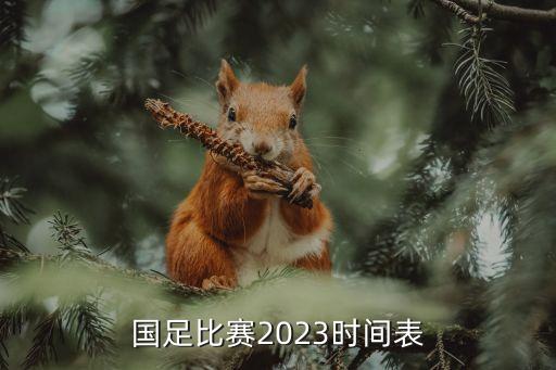 國足比賽2023時間表