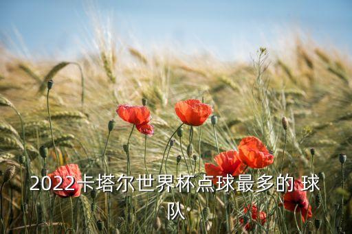 2022卡塔爾世界杯點(diǎn)球最多的 球隊(duì)