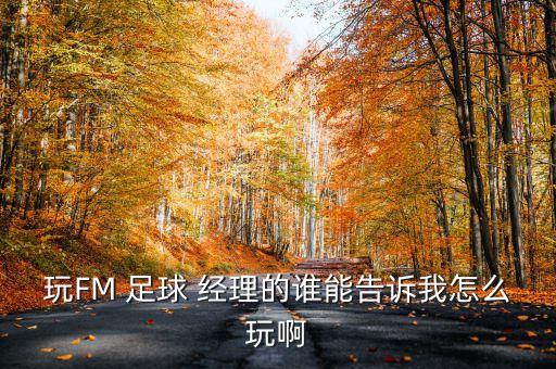 玩FM 足球 經(jīng)理的誰能告訴我怎么玩啊