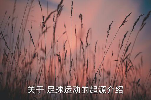 關(guān)于 足球運(yùn)動的起源介紹