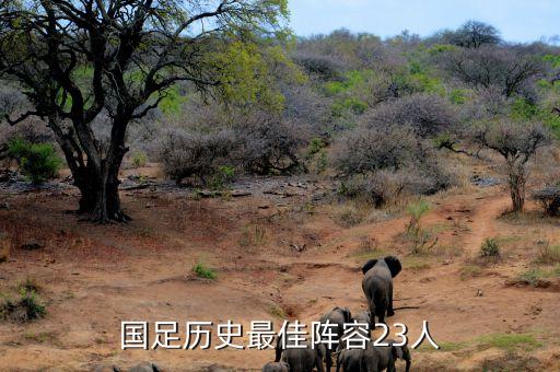 國足歷史最佳陣容23人