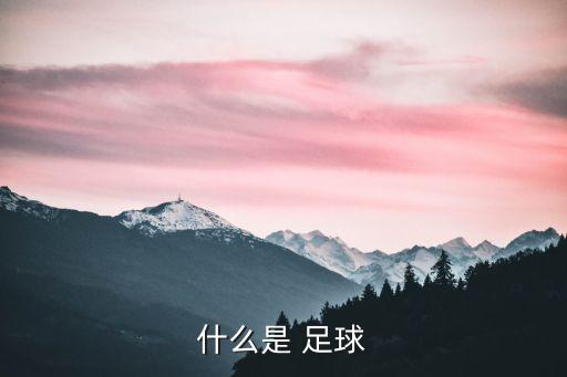 什么是 足球