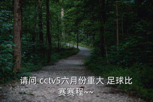 中國(guó)vs韓國(guó)足球cctv