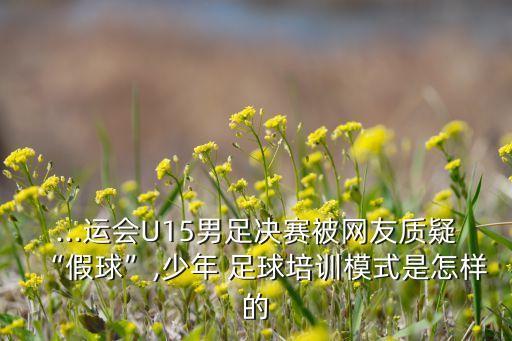 ...運(yùn)會(huì)U15男足決賽被網(wǎng)友質(zhì)疑“假球”,少年 足球培訓(xùn)模式是怎樣的