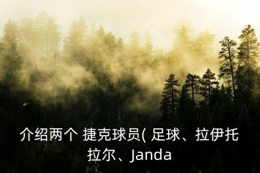 介紹兩個 捷克球員( 足球、拉伊托拉爾、Janda