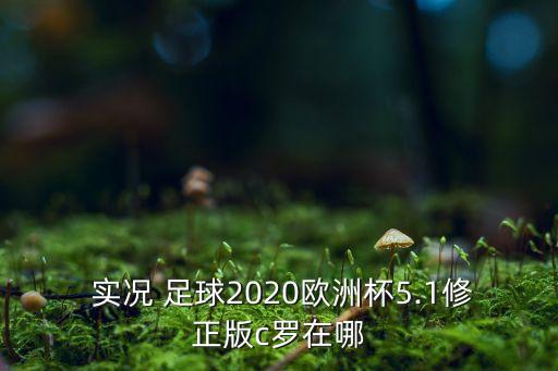  實(shí)況 足球2020歐洲杯5.1修正版c羅在哪