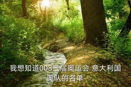 我想知道008三屆奧運(yùn)會 意大利國奧隊的名單