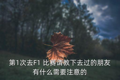 第1次去F1 比賽請教下去過的朋友有什么需要注意的