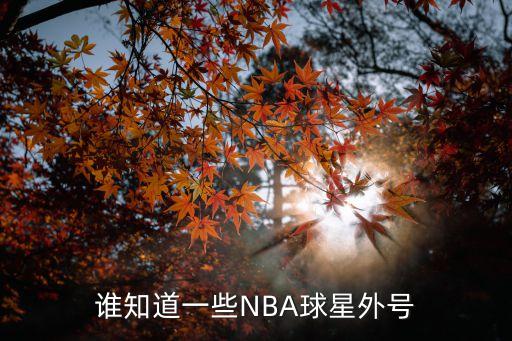 誰知道一些NBA球星外號