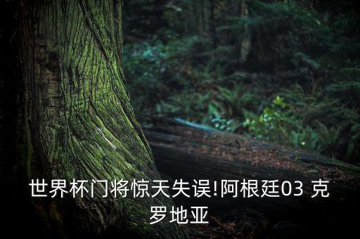 克羅地亞足球21號(hào),加拿大和克羅地亞足球誰厲害