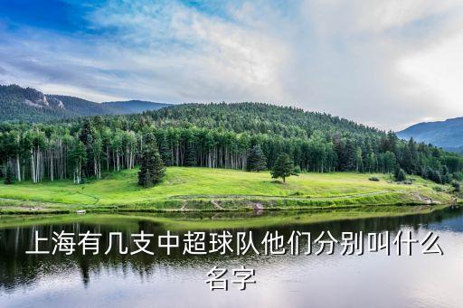  上海有幾支中超球隊他們分別叫什么名字