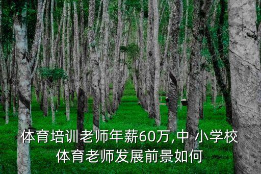 體育培訓(xùn)老師年薪60萬,中 小學(xué)校體育老師發(fā)展前景如何