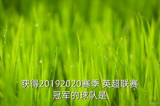 獲得20192020賽季 英超聯(lián)賽冠軍的球隊(duì)是