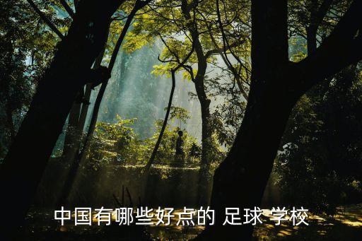 中國(guó)有哪些好點(diǎn)的 足球 學(xué)校