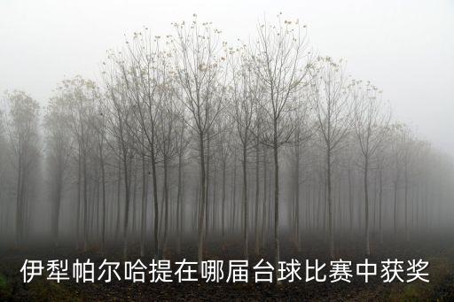 伊犁帕爾哈提在哪屆臺球比賽中獲獎