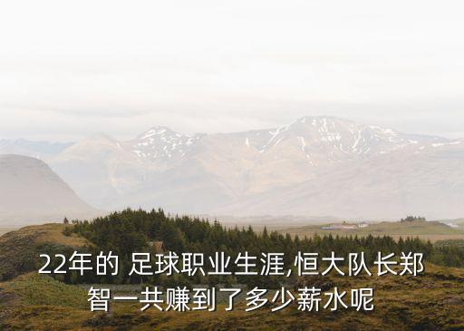 22年的 足球職業(yè)生涯,恒大隊(duì)長(zhǎng)鄭智一共賺到了多少薪水呢