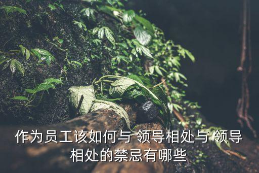 作為員工該如何與 領(lǐng)導(dǎo)相處與 領(lǐng)導(dǎo)相處的禁忌有哪些