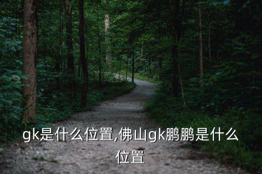 足球gk是什么位置,佛山gk鵬鵬是什么位置