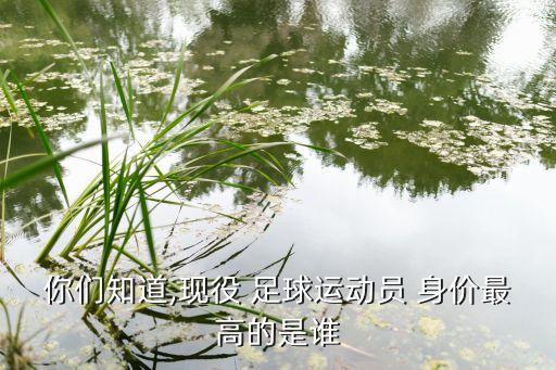 你們知道,現(xiàn)役 足球運(yùn)動(dòng)員 身價(jià)最高的是誰(shuí)