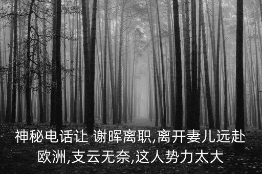 神秘電話讓 謝暉離職,離開妻兒遠(yuǎn)赴歐洲,支云無奈,這人勢力太大