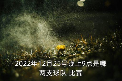 2022年12月25號晚上9點(diǎn)是哪兩支球隊(duì) 比賽