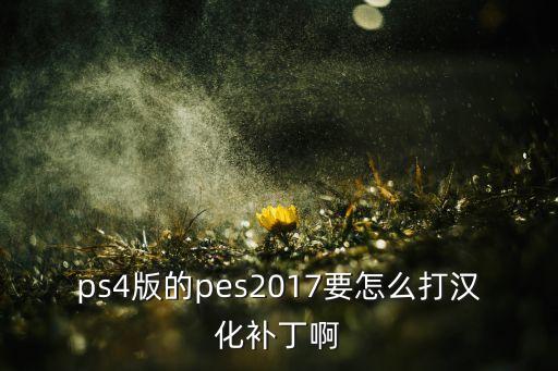 實(shí)況足球2017wehk