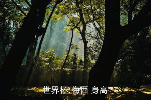 阿根廷足球隊(duì)的身高