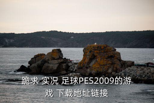 跪求 實(shí)況 足球PES2009的游戲 下載地址鏈接