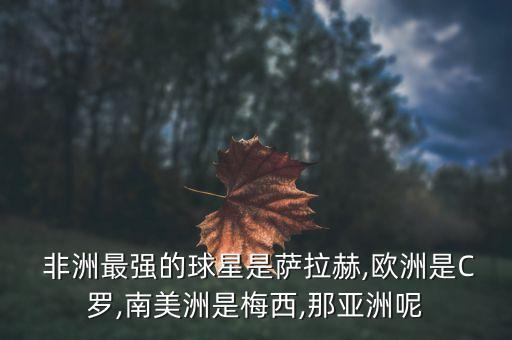  非洲最強的球星是薩拉赫,歐洲是C羅,南美洲是梅西,那亞洲呢