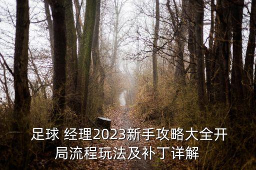  足球 經(jīng)理2023新手攻略大全開局流程玩法及補丁詳解