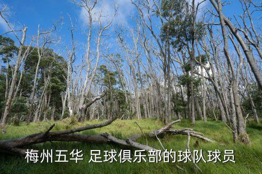 劉君華足球,山東中醫(yī)藥大學劉君華簡歷