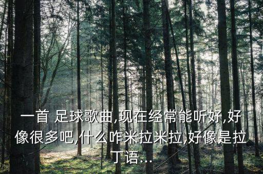 一首 足球歌曲,現(xiàn)在經(jīng)常能聽好,好像很多吧,什么咋米拉米拉,好像是拉丁語...