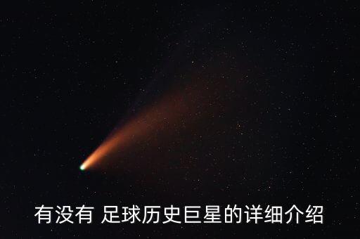 有沒有 足球歷史巨星的詳細(xì)介紹