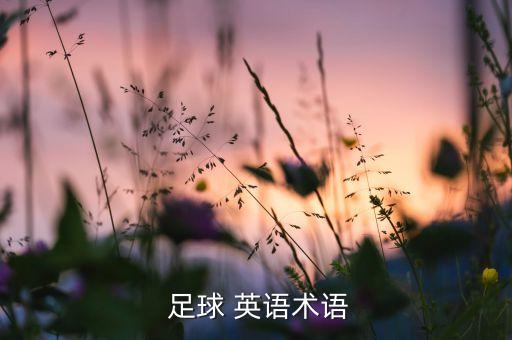  足球 英語(yǔ)術(shù)語(yǔ)