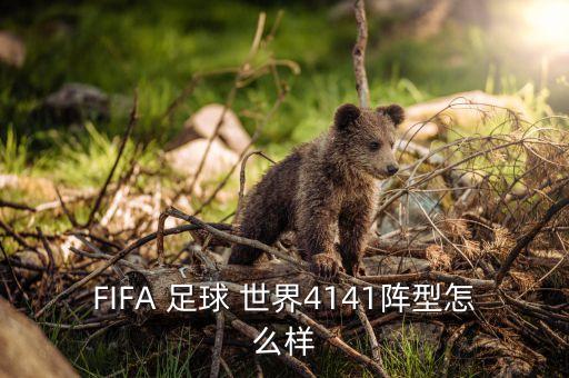 FIFA 足球 世界4141陣型怎么樣