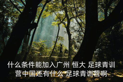 廣州恒大足球俱樂部梯隊招生,浙江綠城足球俱樂部梯隊招生