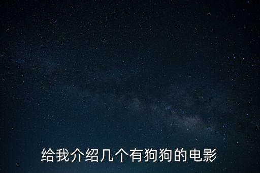 金毛狗和人足球場跳舞