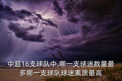 中超16支球隊中,哪一支球迷數(shù)量最多哪一支球隊球迷素質(zhì)最高